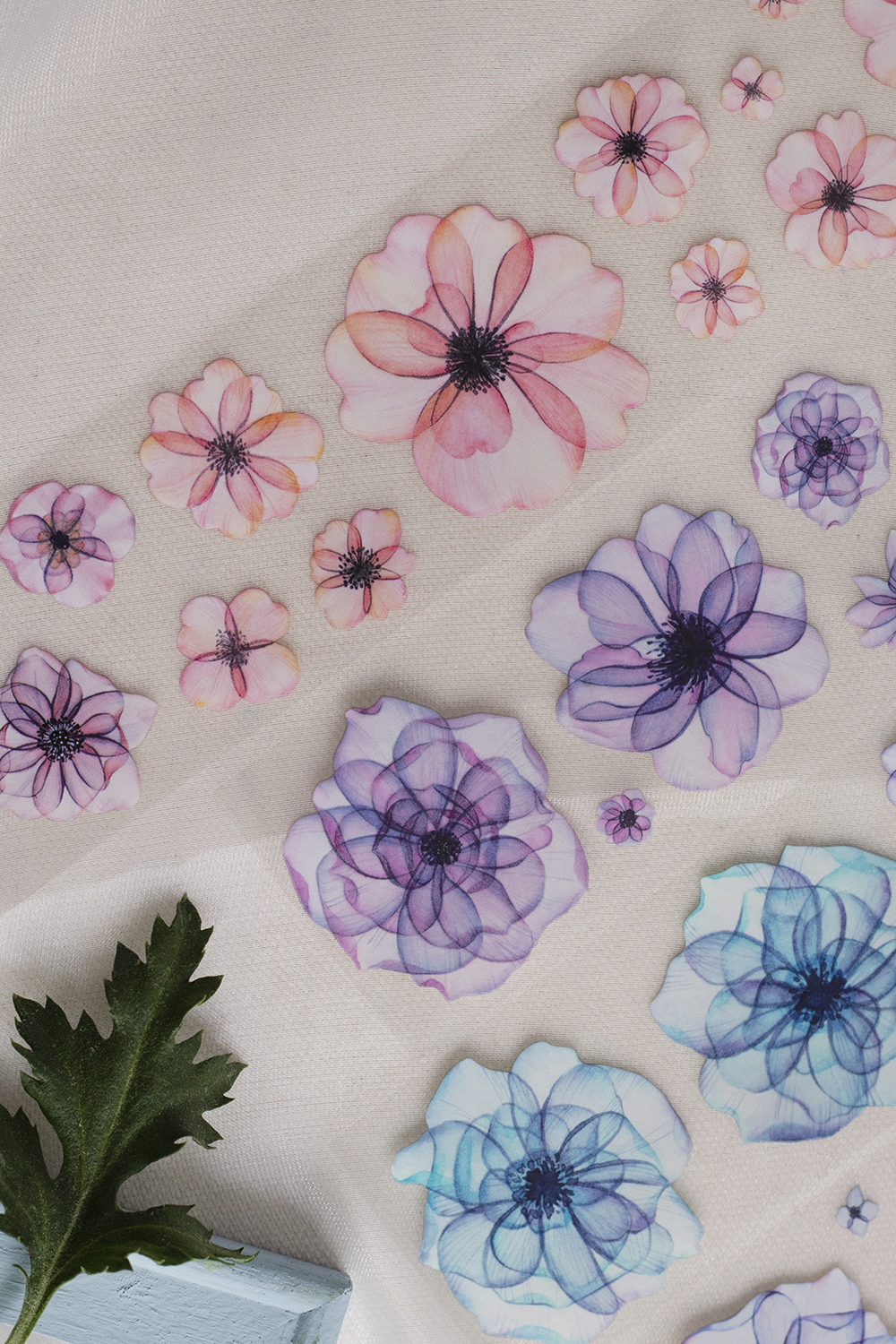 Loidesign Vintage Begonia Flor - Washi Tape Set avaliação e preço
